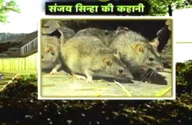 संजय सिन्हा की कहानी