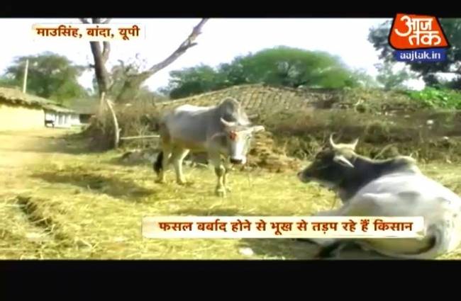 अनाज बैंक से भूखे किसानों को अन्न देने की मुहिम