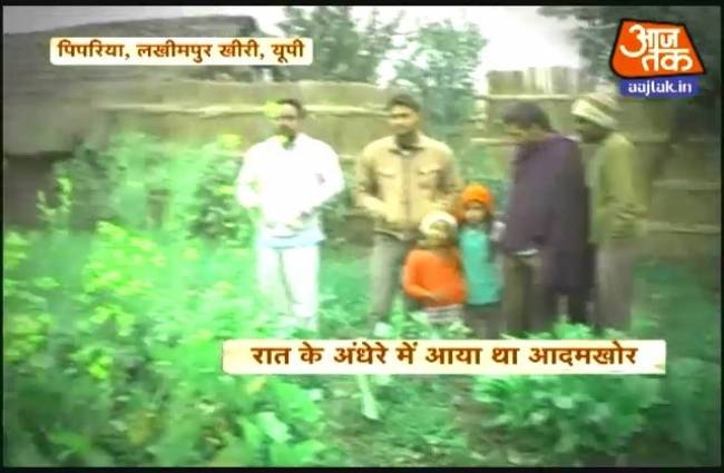 जब गांव पर टाइगर ने बोला हमला...