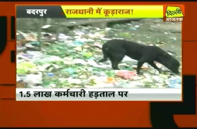 कर्मचारियों की हड़ताल के चलते सड़कों पर कूड़ाराज!