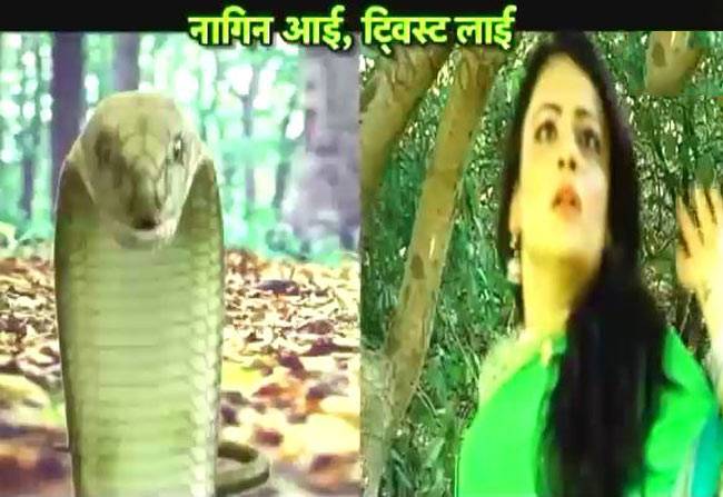 जब आशिकी के बीच आई नागिन!