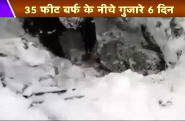 स्पेशल रिपोर्ट