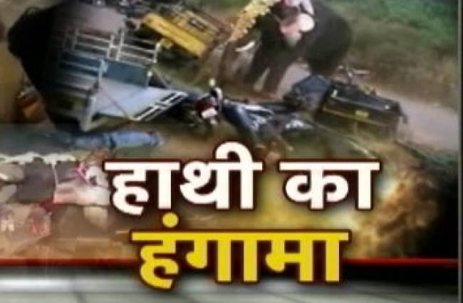 गुस्से में गजराज ने मचाया आतंक