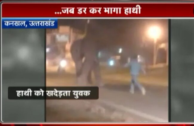 डर कर भागे गजराज