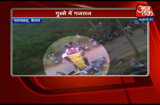 केरल के पलक्कड़ में गुस्साए हाथी का कहर
