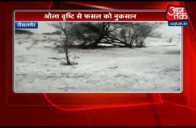 ओला वृष्टि से फसल को नुकसान