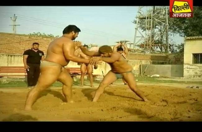 साउथ दिल्ली का असोला फतेहपुर बेरी गांव