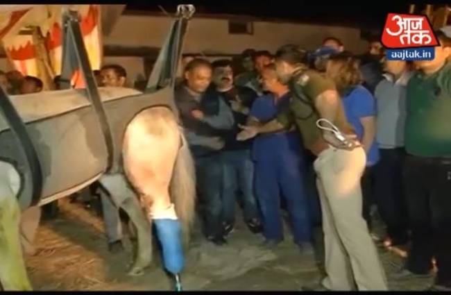 शक्तिमान की टांग काटी गई