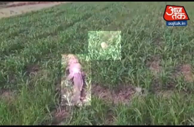 मगरमच्छ को मारा