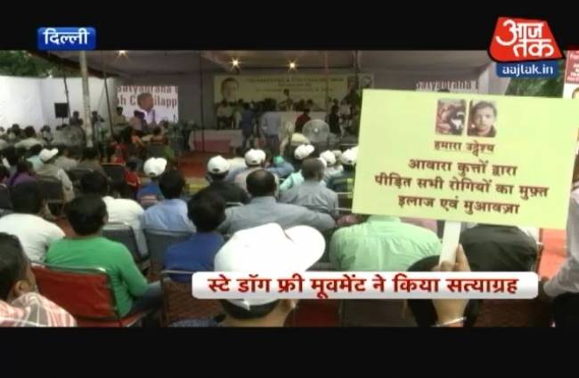 आवारा कुत्तों के खिलाफ सत्याग्रह आंदोलन