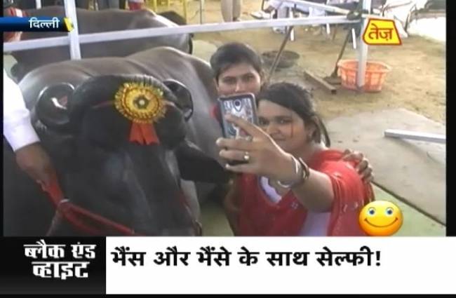 दिल्ली में चल रहा कृषि उन्नति मेला