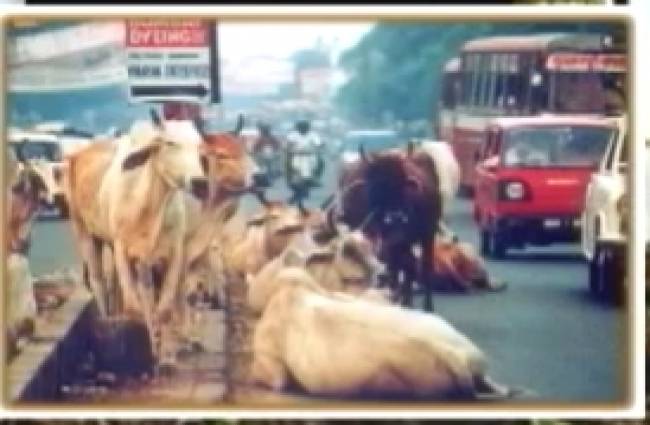 आंखें खोलने वाली प्रेम कहानी