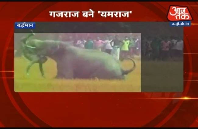 2 हाथियों ने ली 4 लोगों की जान