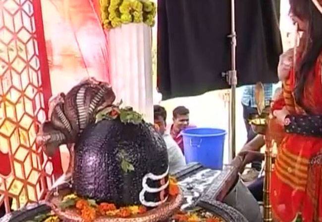 टीवी सीरियल्स में ऐसे मनाई गई शिवरात्रि...