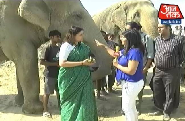 देश की पहली हाथी सेंचुरी है चुरमुरा