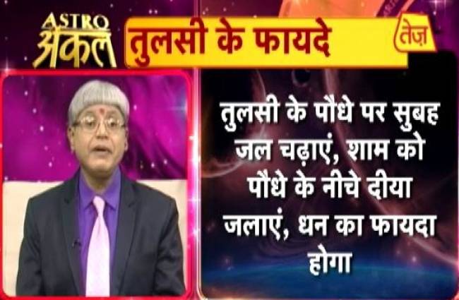 तुलसी के पत्ते खाने के कई फायदे हैं