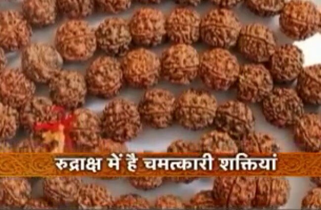 शिव के आंसुओं से हुई है रुद्राक्ष की उत्पत्ति