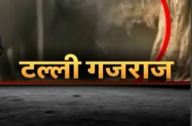 जब गजराज को लगा शराब का चस्का!