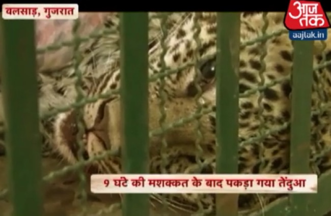 गांव आज तक