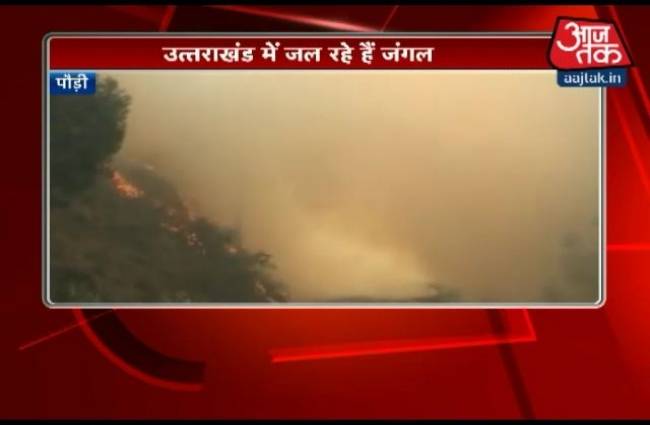 उत्तराखंड के जंगल में लगी आग से मचा हाहाकार