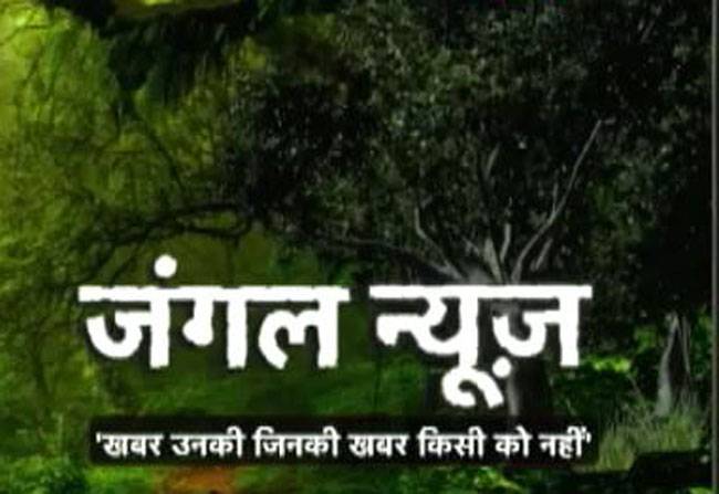 देखिए जंगल के दो बड़े दुश्मनों की जंग