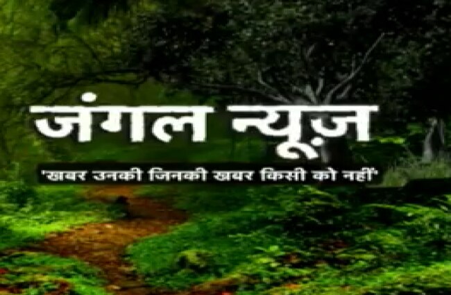 जानवरों की दुनिया