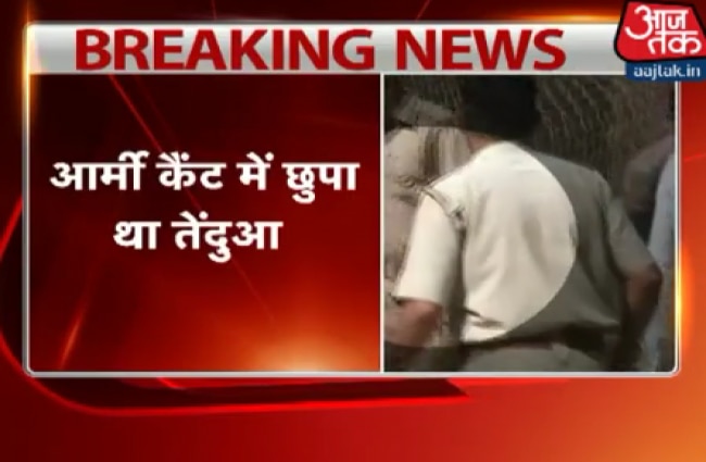 आर्मी कैंट में छिपा था तेंदुआ