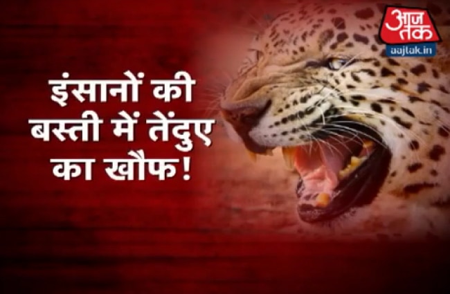 जंगली जानवरों की घुसपैठ