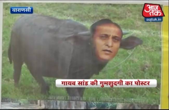 गायब सांड की गुमशुदगी के पोस्टर में आजम खां पर निशाना