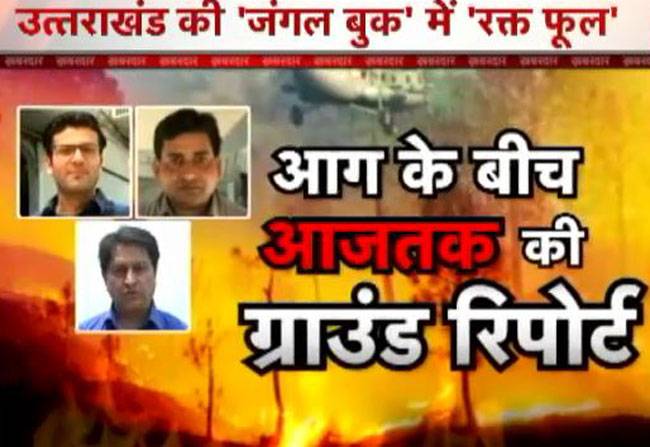 जंगल की आग के बीच पहुंचा 'आज तक'