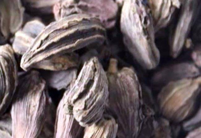 बड़ी इलायची में छुपा है गुणों का खजाना!