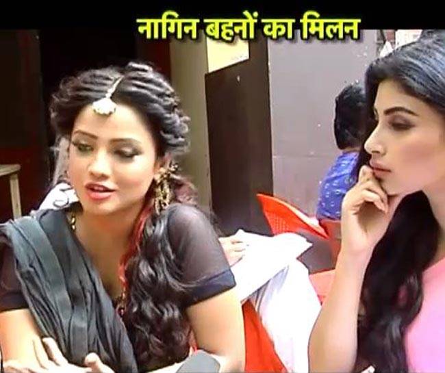 जब दो बहनों ने किया 'नेवले' का मुकाबला