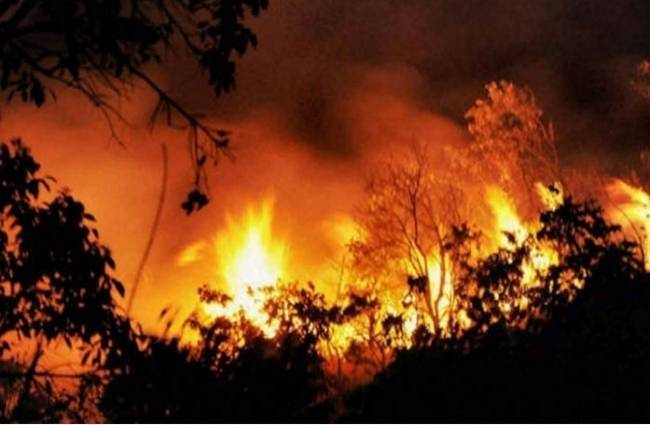 उत्तराखंड के जंगलों में भी भीषण आग