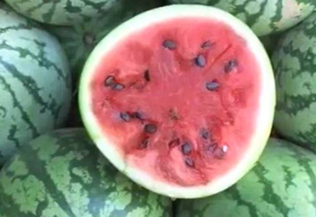 जानिए तरबूज के बेजोड़ फायदे...