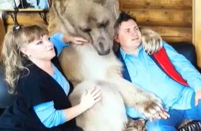 विचित्र, किंतु सत्य