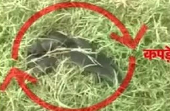 पुलिस ने बनाई कई टीमें