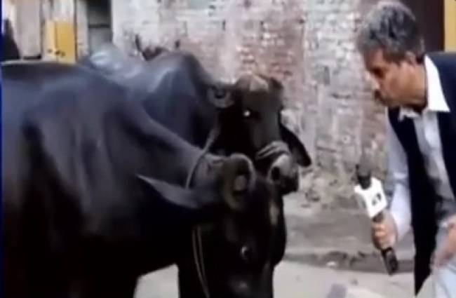 सोशल मीडिया पर वायरल हुई रिपोर्ट