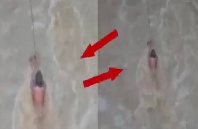 स्पेशल रिपोर्ट