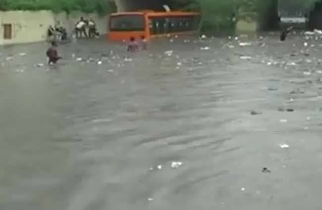 स्पेशल रिपोर्ट