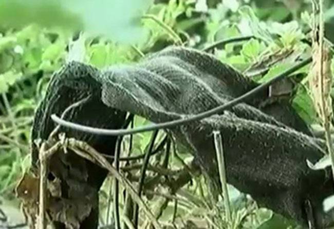 4 संदिग्धों की तलाश में 2 राज्यों की पुलिस