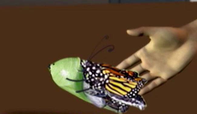 संघर्ष करने से मिलेगी सफलता