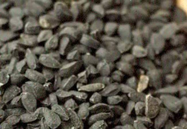 कलौंजी के ये फायदे जानकर हैरान रह जाएंगे आप