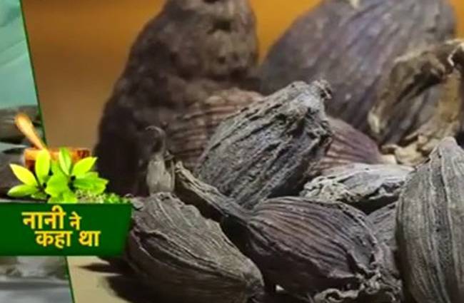 बड़ी इलायची के फायदे