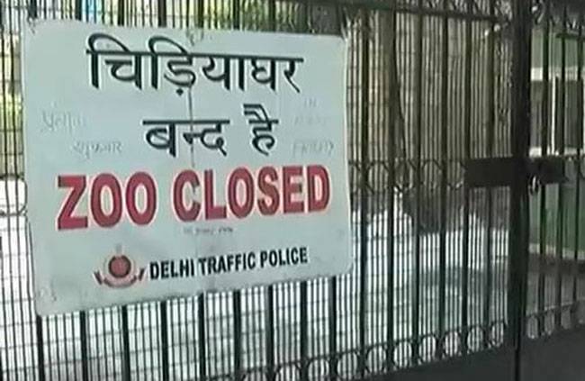 राजधानी दिल्ली में बर्ड फ्लू का खतरा