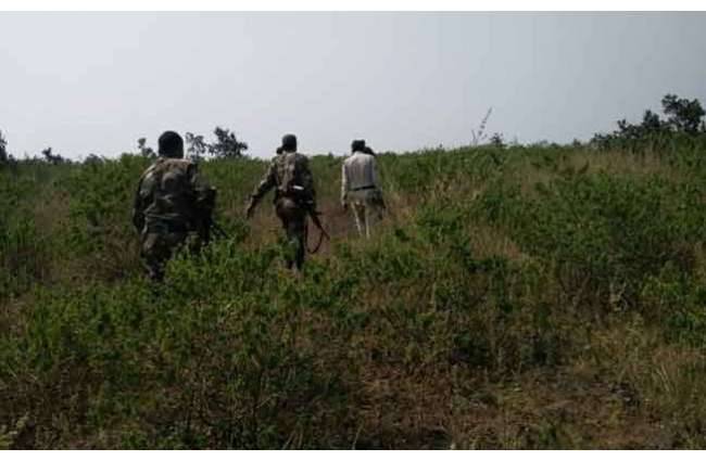 8 घंटे में मार गिराए फरार 8 आतंकी