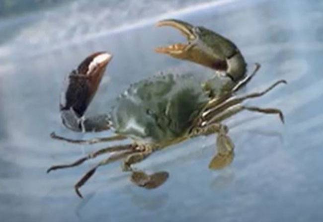 दूसरों का भला करने से मिलेगी सफलता