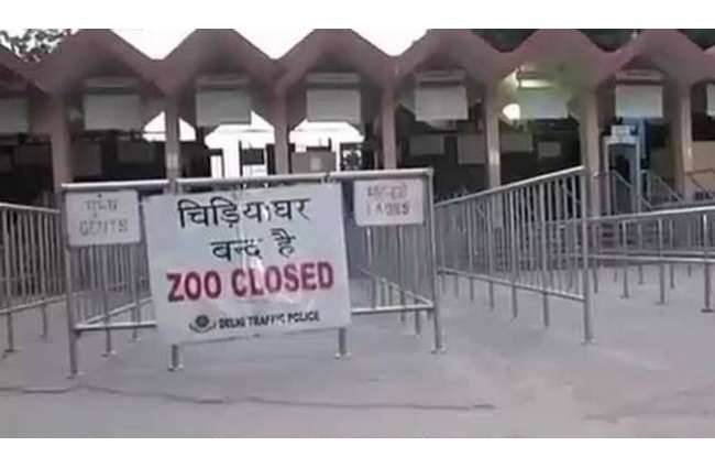 बर्ड फ्लू