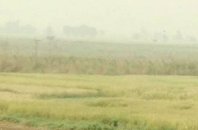 आरएस पुरा सेक्टर