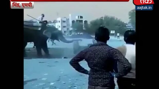 हाथी का उत्पात