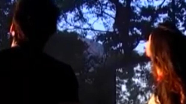 ऋषभ-रैना